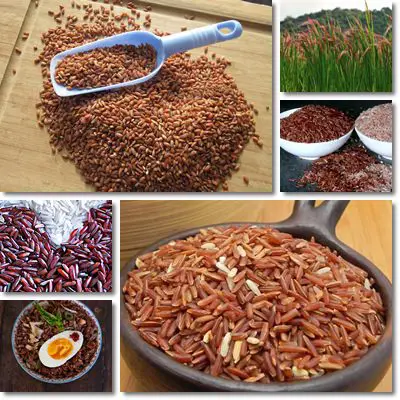 Red rice