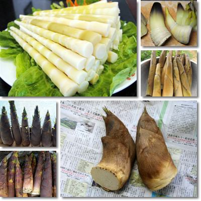 Bamboo shoots