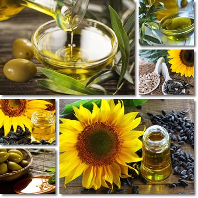 Sunflower oil or olive olive oil