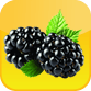 Blackberry acid or alkaline