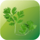 Cilantro acidic or alkaline