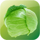 Green cabbage acidic or alkaline
