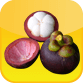 Mangosteen acid or alkaline