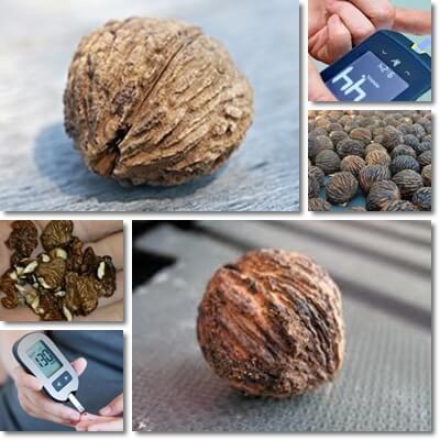 Can diabetics eat black walnuts