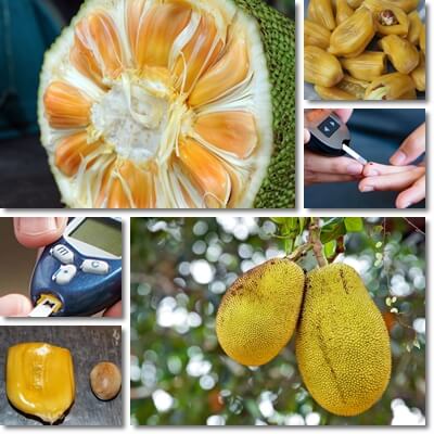 Jackfruit diabetes