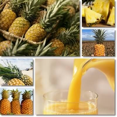 Pineapple glycemic index
