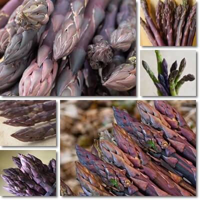 Purple asparagus benefits