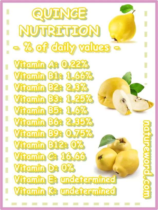 Quince nutrition vitamins 100 grams