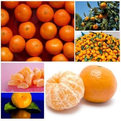 mandarinis alkaline