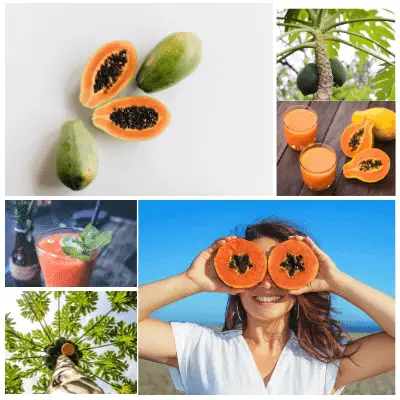papaya acidic or alkaline