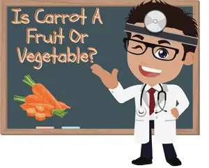 Is Carrot A Fruit Or Vegetable