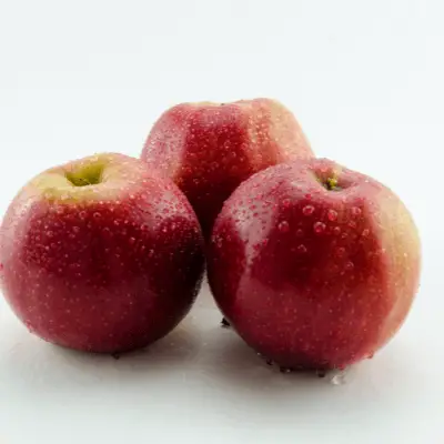 Rajka apple