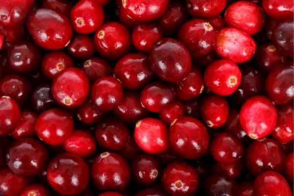 Cranberry