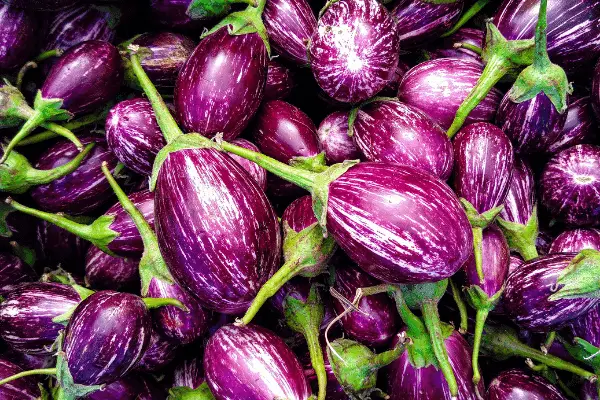 Eggplants