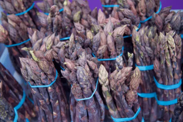 Purple Asparagus