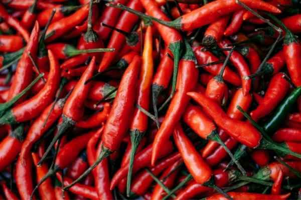 Red chili