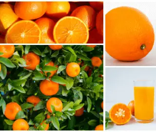 Orange Glycemic Index