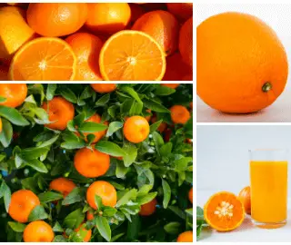 glycemic index apple vs orange