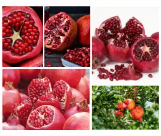 Pomegranate Glycemic Index