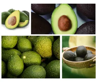 avocado Glycemic Index