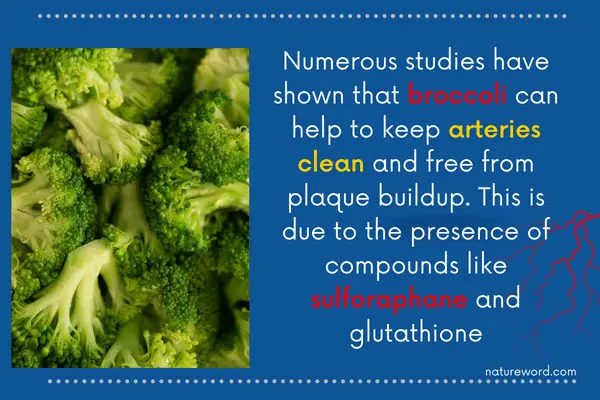 Broccoli benefits for arteries