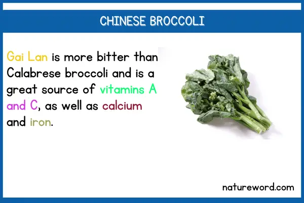 Chinese Broccoli-short description