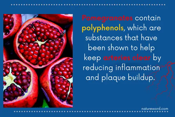 Pomegranates benefits for arteries