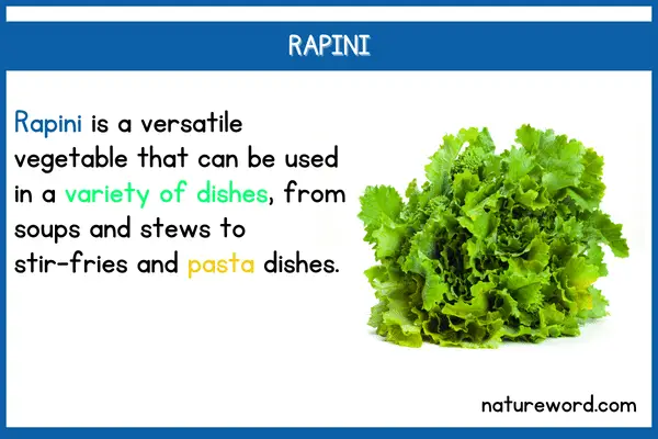 Rapini-short description