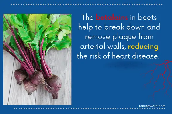 beets benefits for arteries