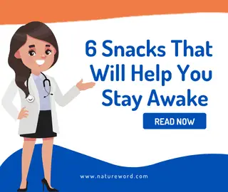 snacks That Will Help You Stay Awake