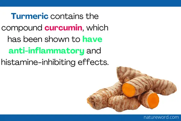 turmeric and its use to treat allergies
