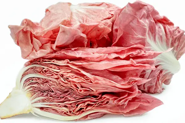 rosa del veneto radicchio type