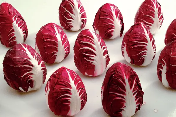 rosso di Verona radicchio