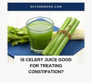Is Celery Juice Good for Treating Constipation