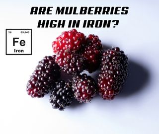 Are Mulberries High in Iron