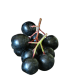 Aronia Berry