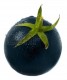 Black Tomato