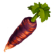 Black carrot