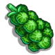 Brussels Sprouts