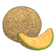 Cantaloupe