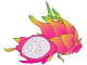 Dragon Fruit