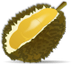 Durian