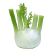 Fennel