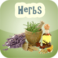 Herbs & Spices