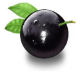 Jabuticaba