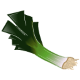 Leek