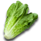 Lettuce