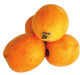 Loquat