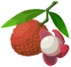 Lychee