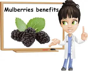 Mulberry benefits